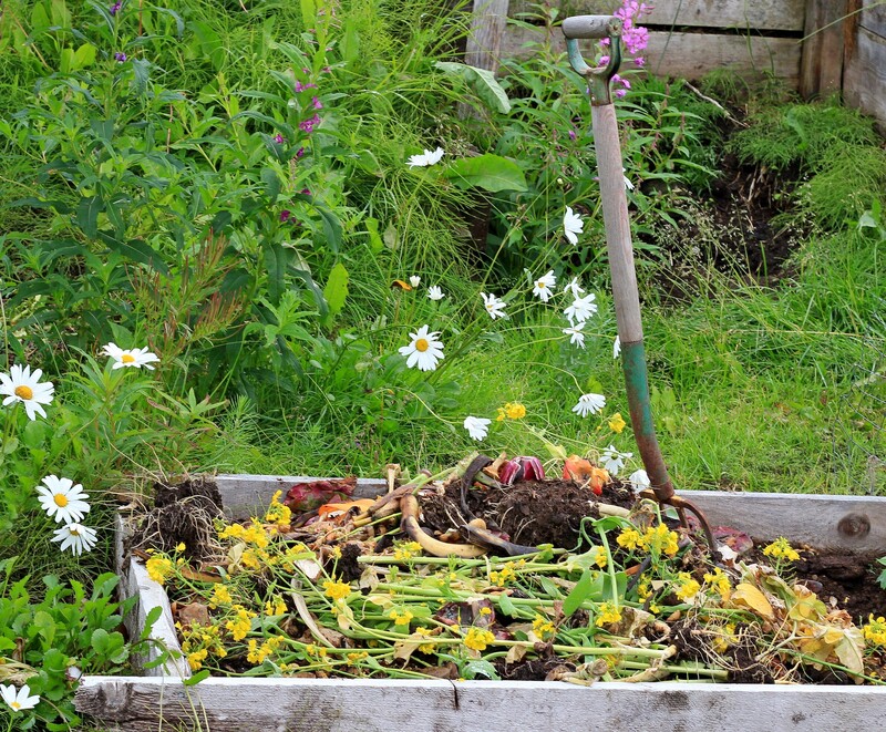 Efficient and Compassionate Hoarder Clean Up and Clutter Control